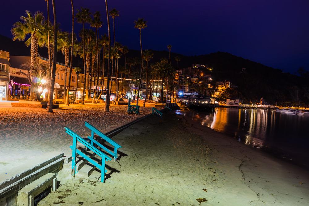 Avalon's beachfront at night with palm trees and lights on the water