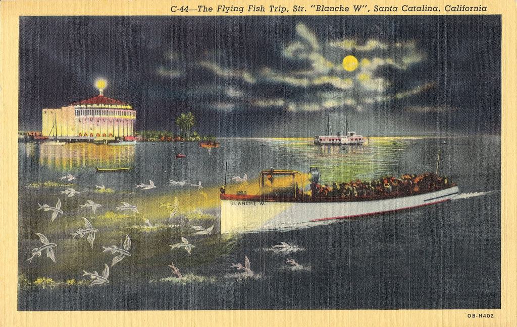 Vintage postcard titled The Flying Fish Trip, showing a crowded excursion boat under a full moon with flying fish in its searchlight and the Casino behind